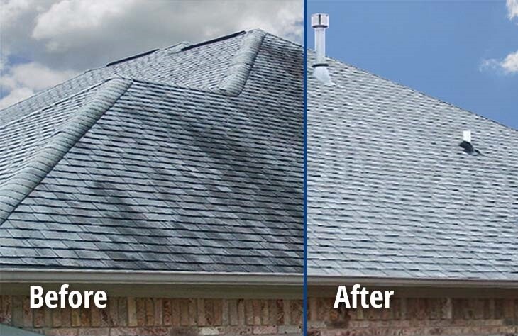 Fort Hunt Vet Wash - Expert Roof Soft Washing Pros
